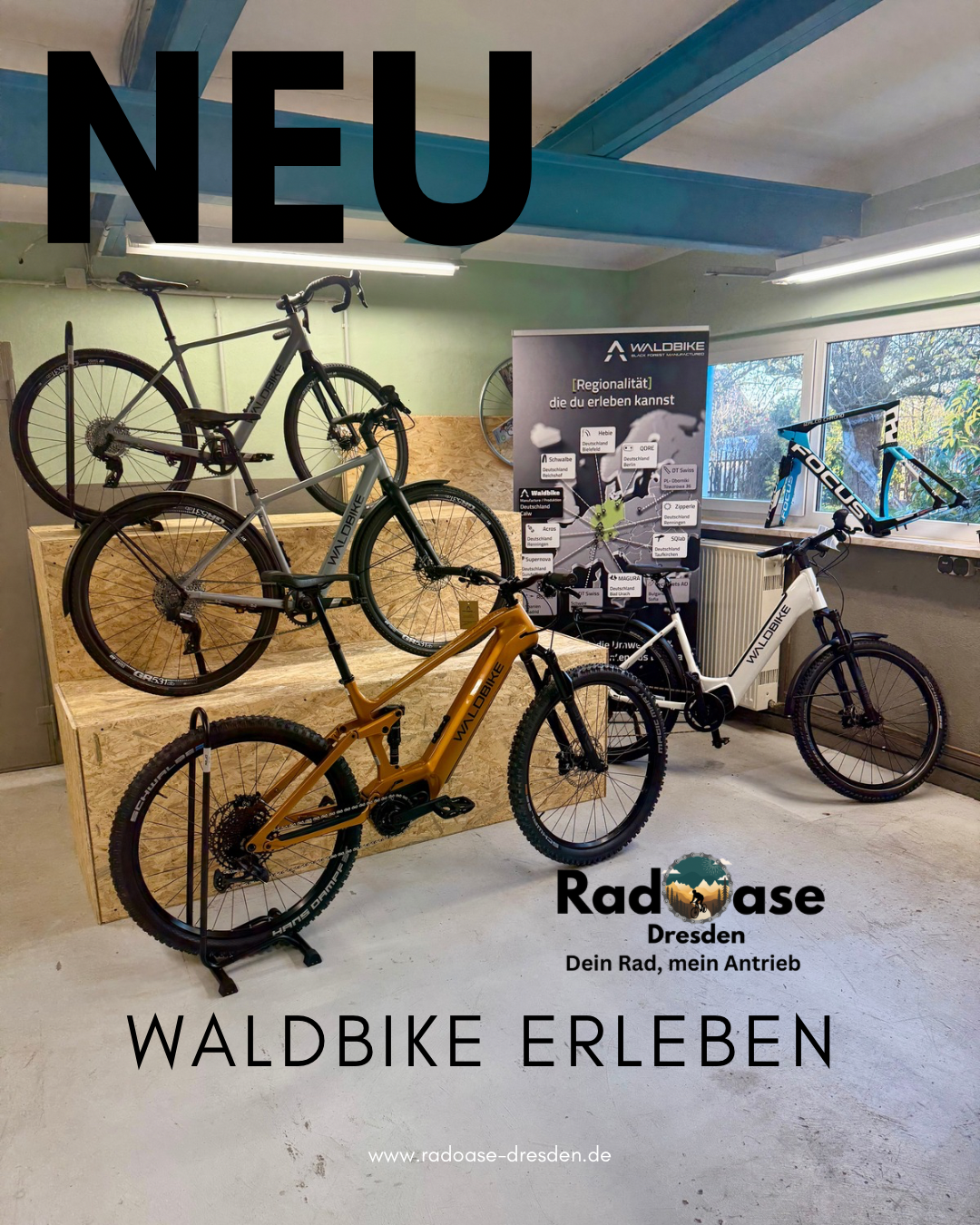 RadOase Dresden - Fahrradwerkstatt