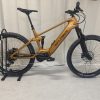 Waldbike E-MTB Quercus