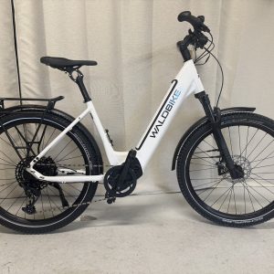 IMG_0411 Waldbike Tilia E-Trekkingbike