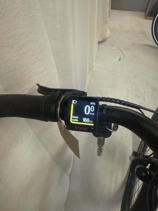 Waldbike Tilia E-Trekkingbike