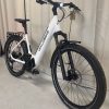 Waldbike Tilia E-Trekkingbike