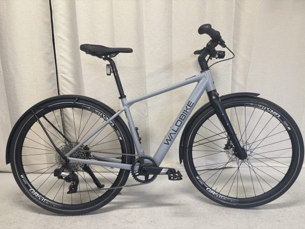 IMG_0415 Waldbike Ulmus Urban