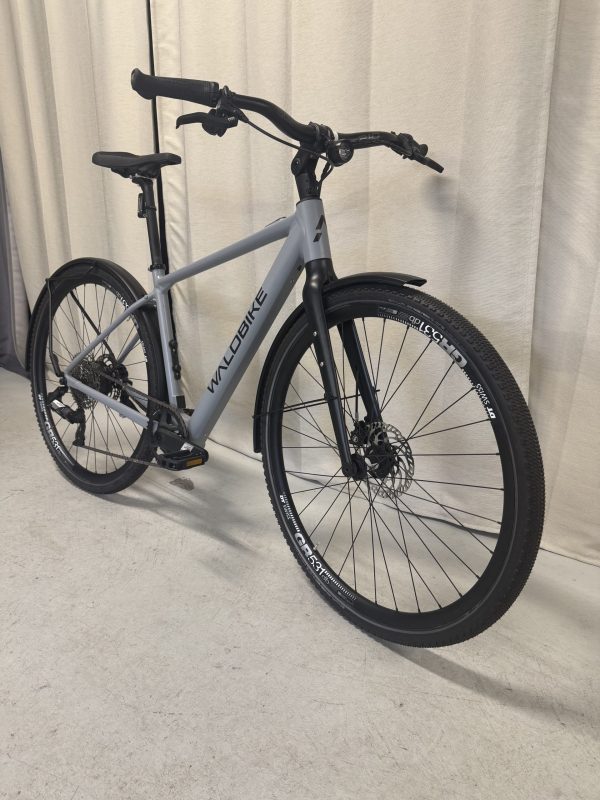 IMG_0419 Waldbike Ulmus Urban