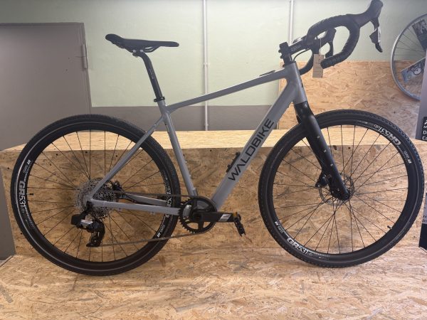 IMG_0420 Waldbike Carpinus Gravel