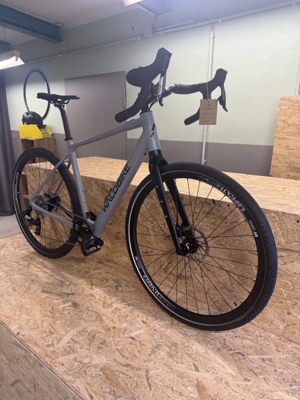 IMG_0423 Waldbike Carpinus Gravel