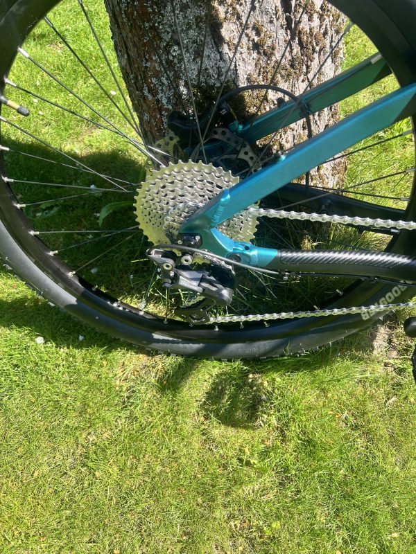 IMG_9405 Kemoway Cobra