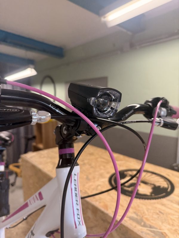 Leader Fox Away 28″ Trekkingrad – Gebraucht, guter Zustand, inkl. Schloss & Licht